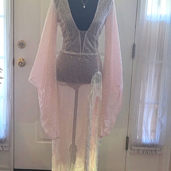 Gorgeous Evening Sheer Gown!!! - Picture 3 of 3